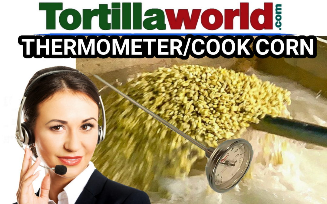 Stainless steel thermometer/18″ prong for sale